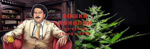 тгк Бронницы